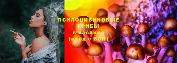 мяу мяу мука Дмитриев