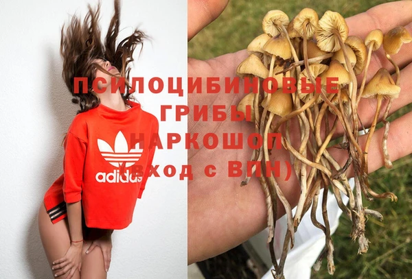 мяу мяу мука Дмитриев