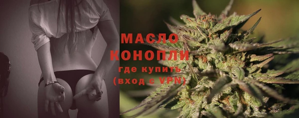 шишки Дмитровск