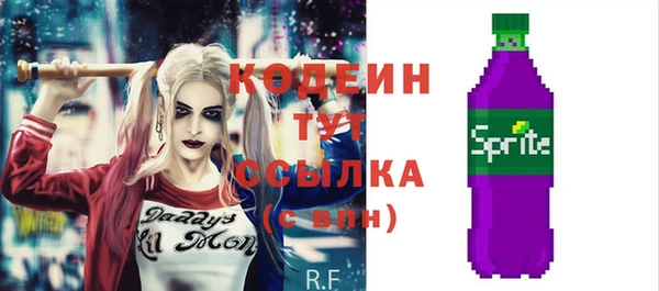 шишки Дмитровск