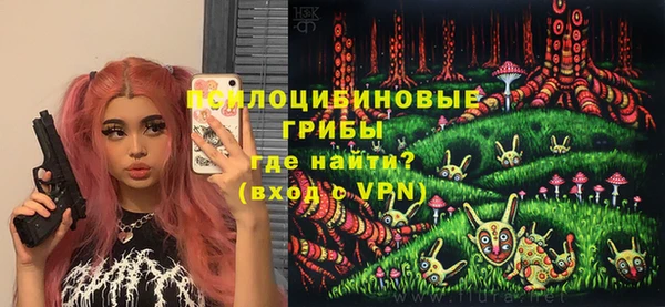 мяу мяу мука Дмитриев