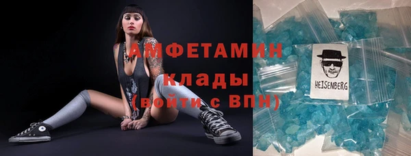 шишки Дмитровск