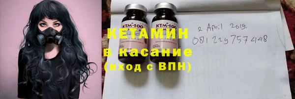 шишки Дмитровск