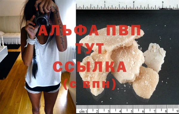 мяу мяу мука Дмитриев