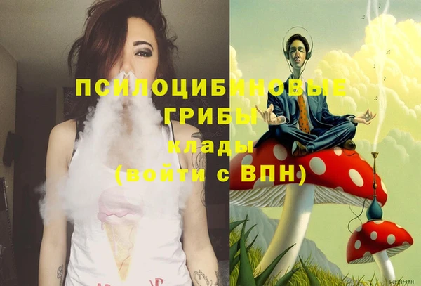 мяу мяу мука Дмитриев