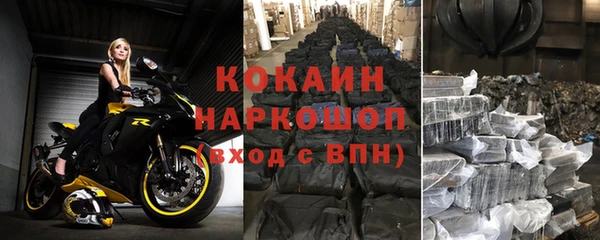 мяу мяу мука Дмитриев