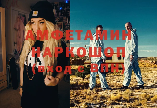 шишки Дмитровск