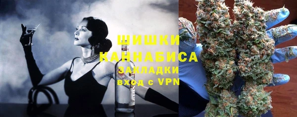 шишки Дмитровск