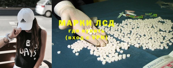 шишки Дмитровск