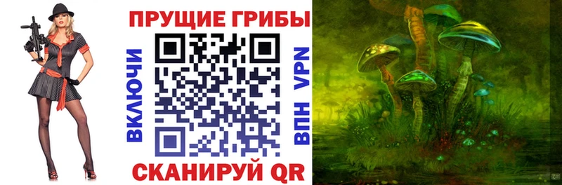 сколько стоит  Каспийск  Галлюциногенные грибы Psilocybe 